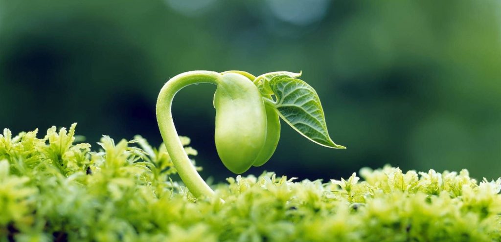 مطالبی از الکلی‏های گمنام